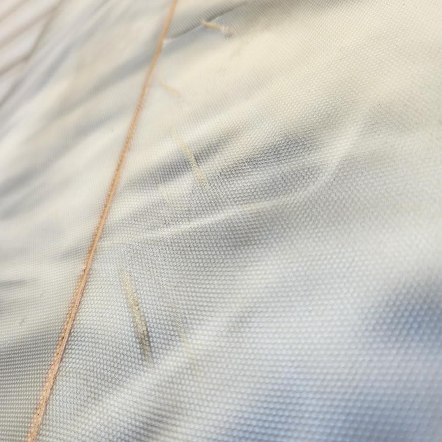 Warner Fly Fish サーフボード 5’4 5フィン対応 フィッシュ