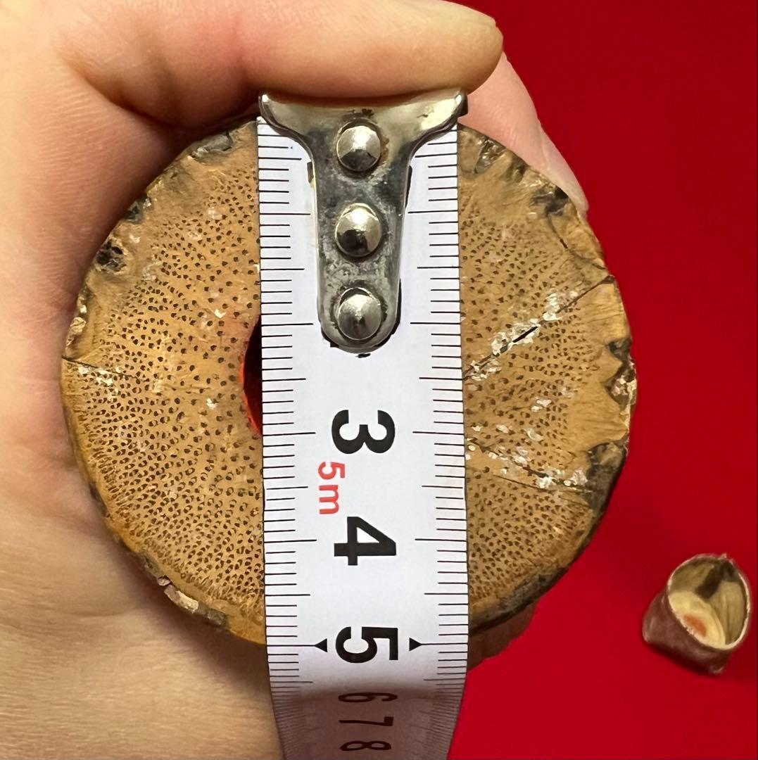 和楽器 尺八 在銘 呂風山 長さ55.5cm