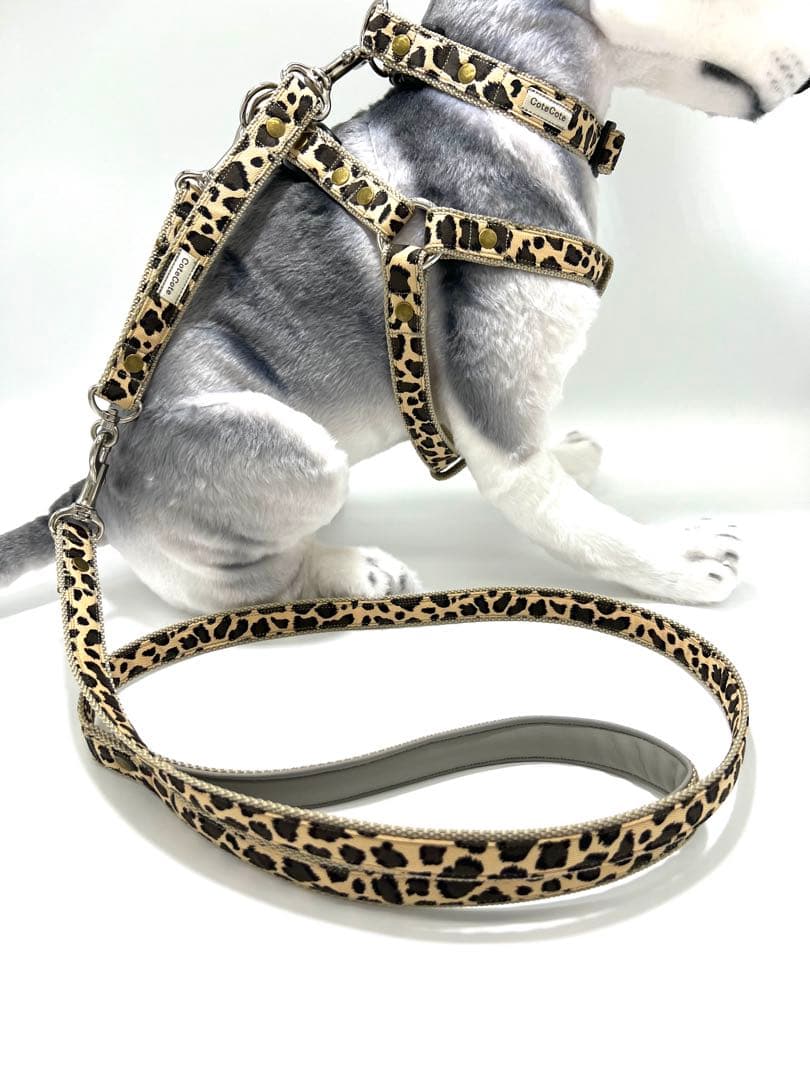 犬用品　首輪・ハーネス・リード・ジョイントリードのフルセット　ハンドメイド