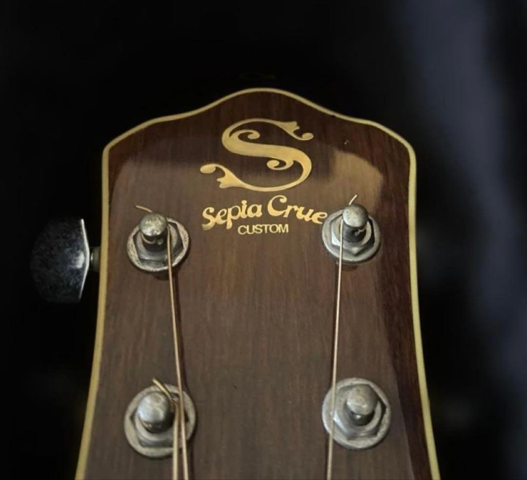 エレアコ　アコースティックギター　ハードケース付き