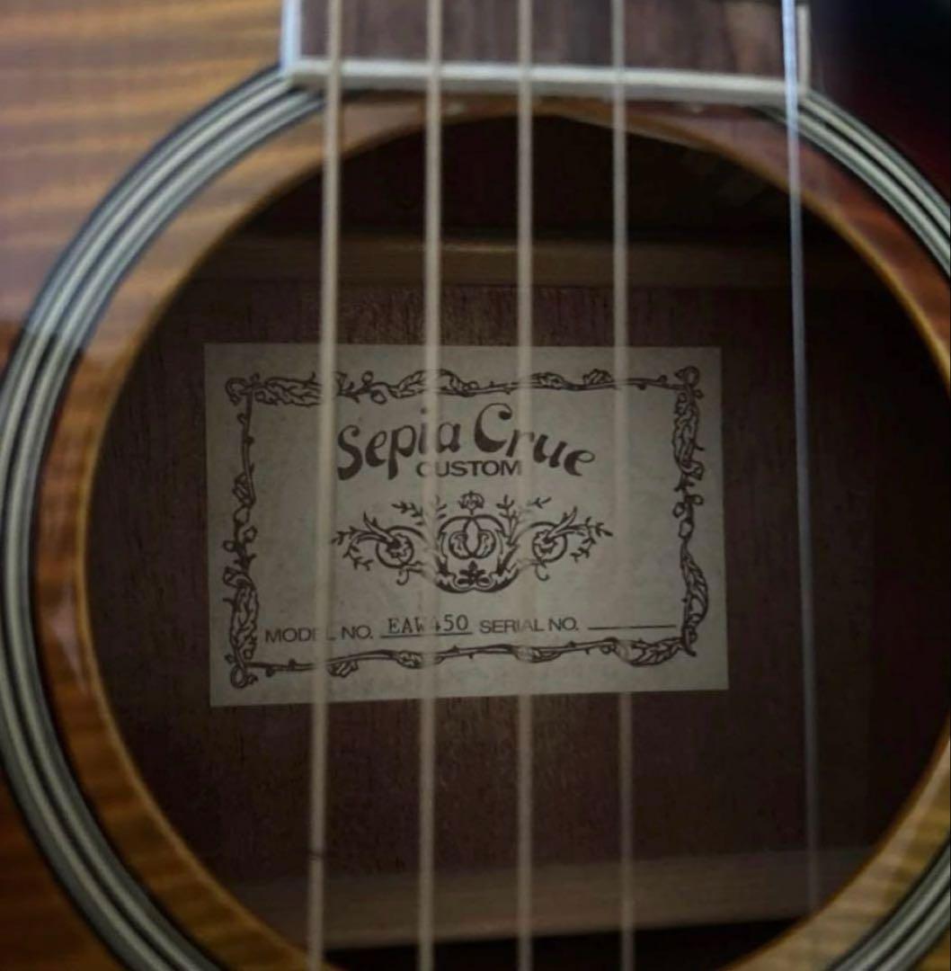 エレアコ　アコースティックギター　ハードケース付き