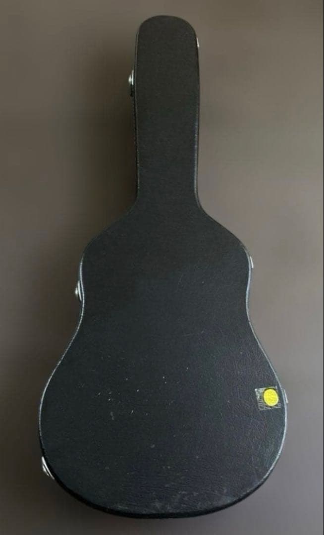 エレアコ　アコースティックギター　ハードケース付き