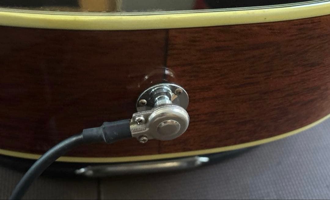 エレアコ　アコースティックギター　ハードケース付き