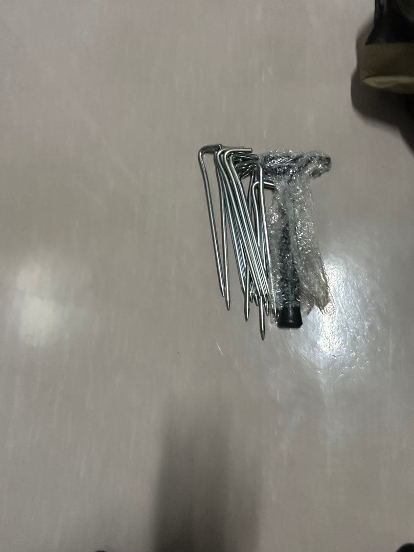 オガワ　ヴィガスⅡ