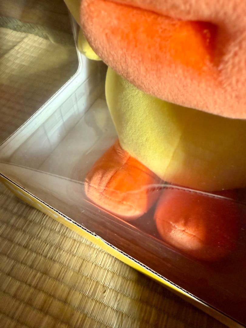 鍋*様 【箱傷み大の未開封品】ラインフレンズ　サリーぬいぐるみ