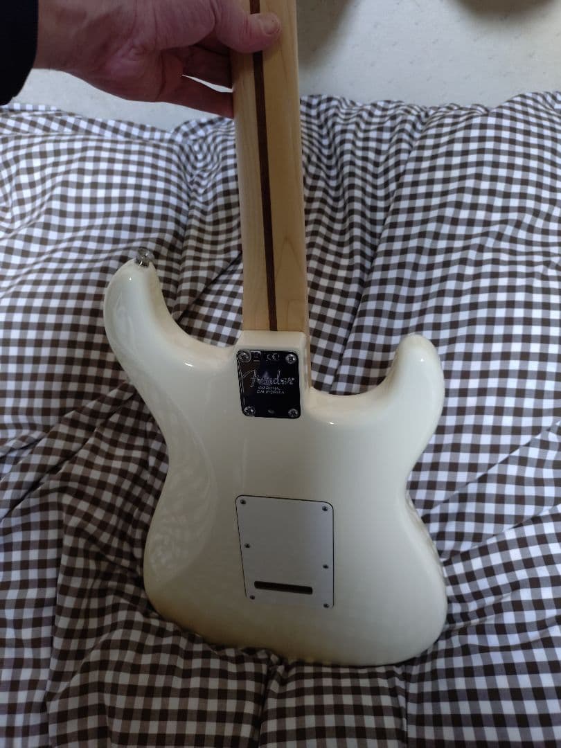 Fender AmericanProfessionalレフティ ハードケース付き