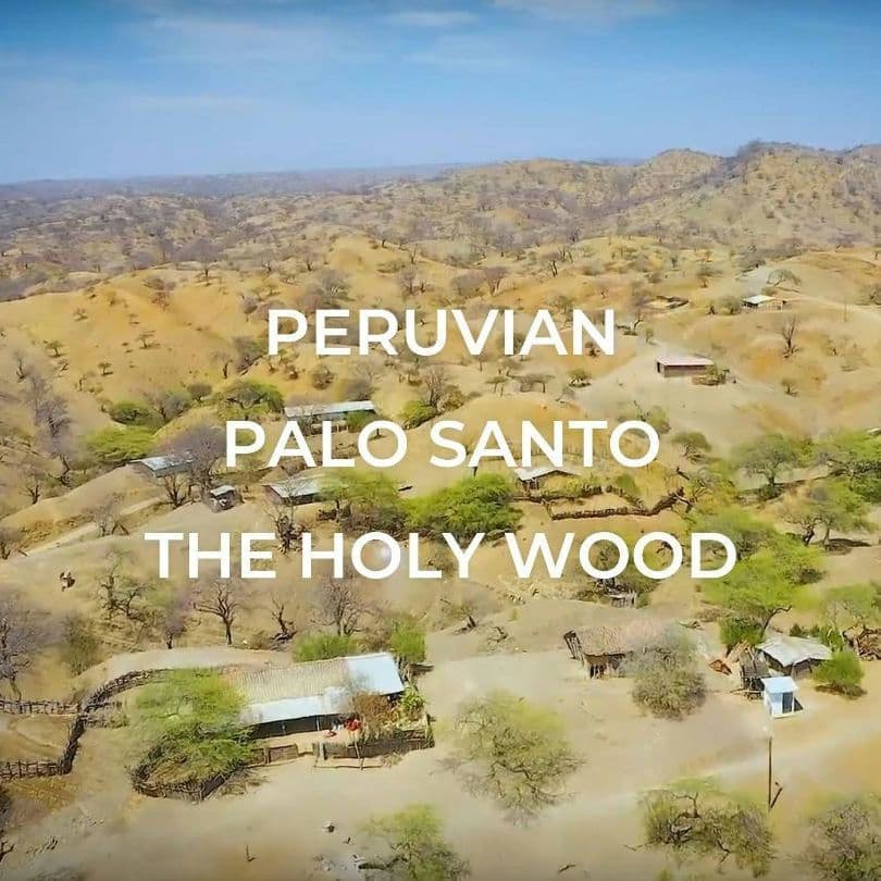 1kg★限定特選品★希少レア激安☆聖なる樹【神秘的な香り♢バロサントウッド香】♥