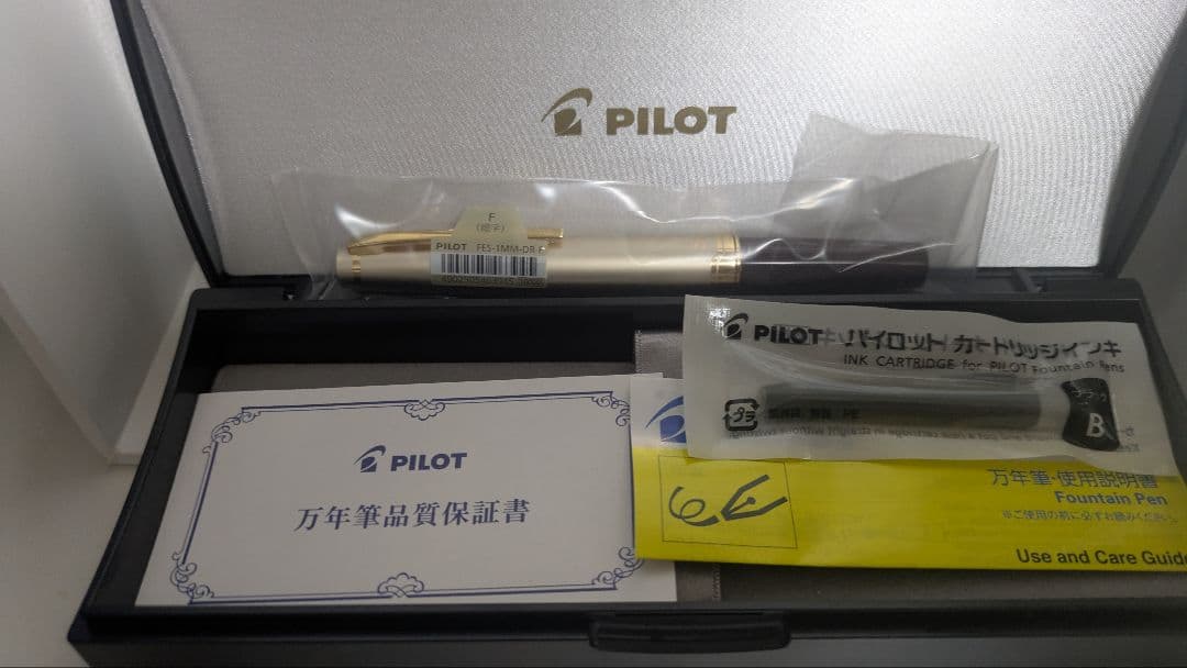 H*o様 【緊急値下げ】【生産終了色】PILOT 万年筆 エリート95S 細字