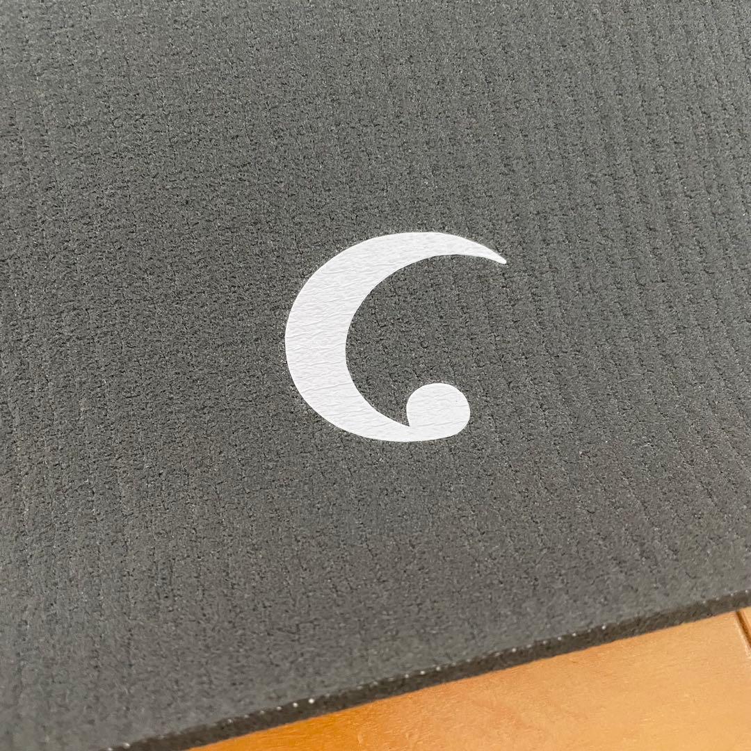 【美品】ヨガワークス YOGA WORKS プラネットサダナ4.2mmヨガマット