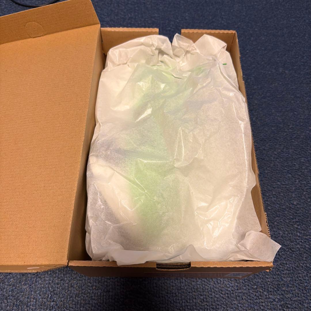 アシックス　SPEED RAY 26.0