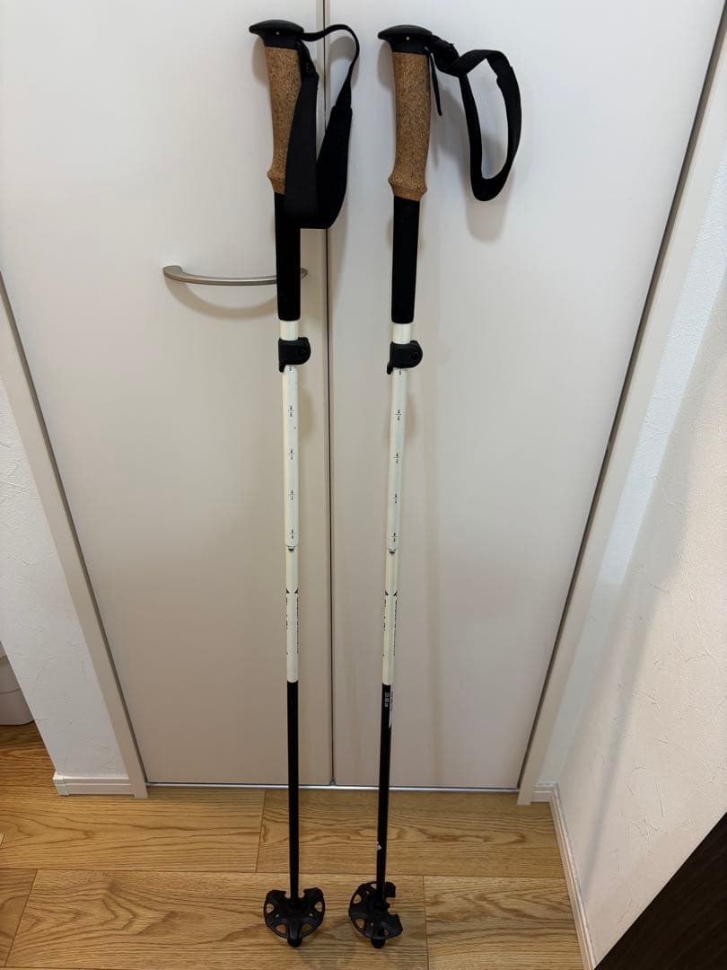  ALPINE FLZ ストック 125-105 cm