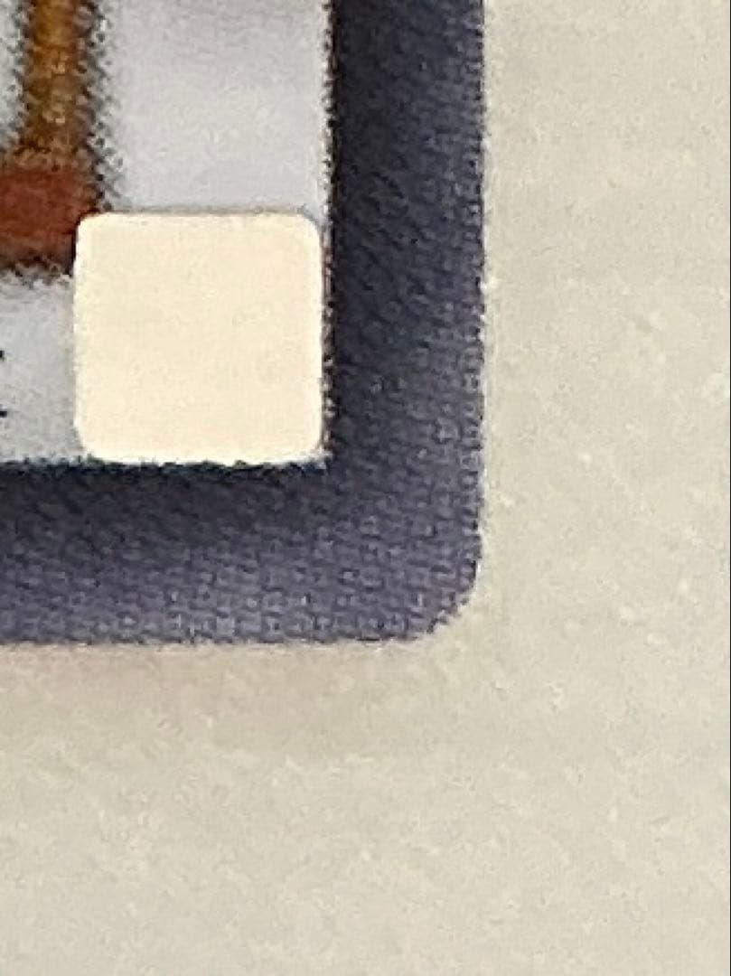 【極極美品】遊戯王　スターダスト・ドラゴン レリーフ　TDGS-JP040