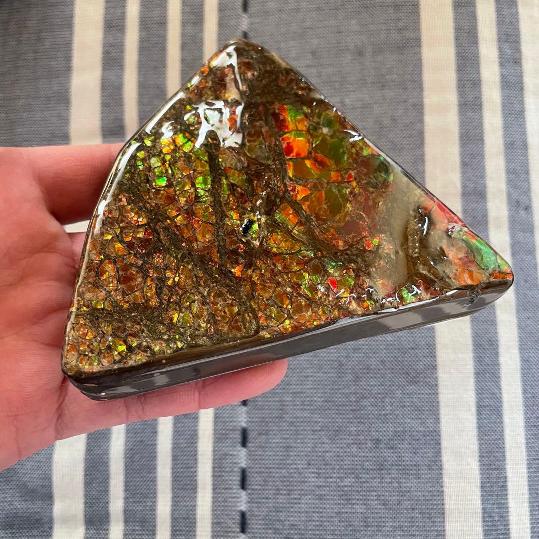 アンモライト 化石 アンモナイト 宝石 原石 大サイズ ドラゴンスキン 博物館