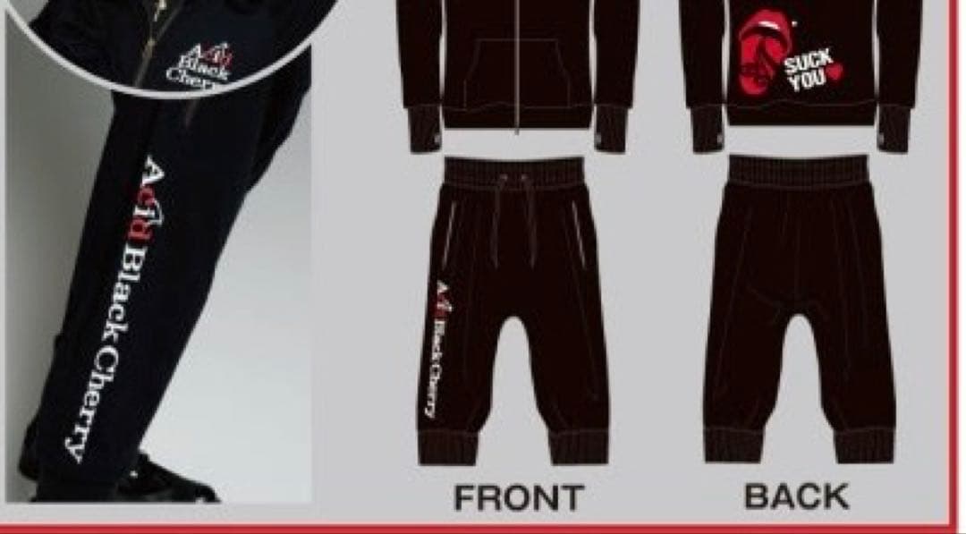 【未開封】Acid Black Cherry サルエルパンツ メンズサイズ