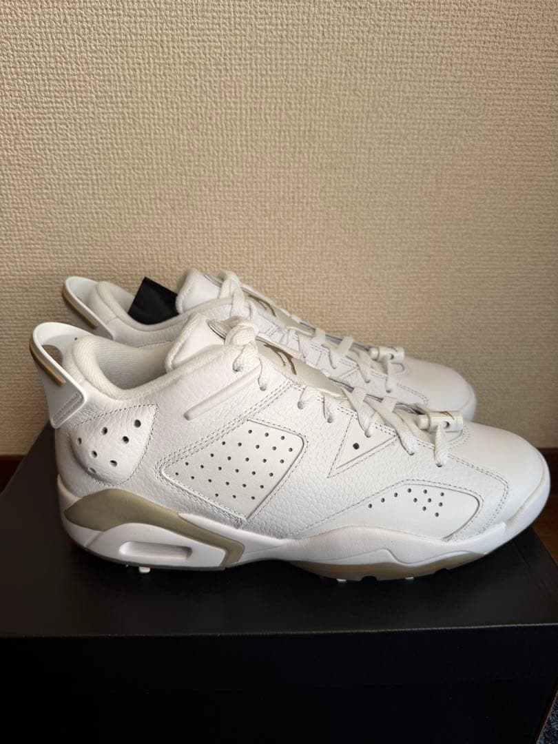 【新品：28.5cm】Nike Air Jordan 6 Low G