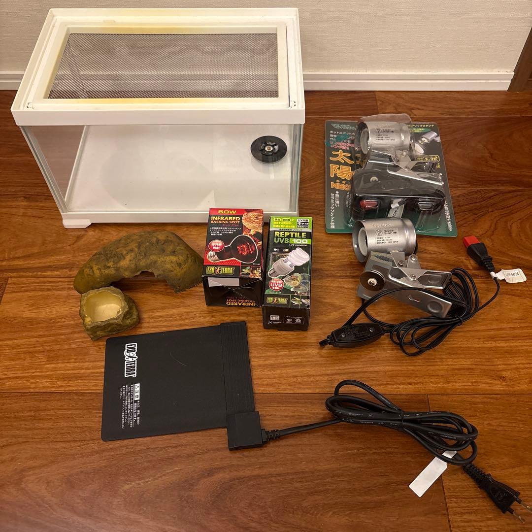 両生類飼育セット