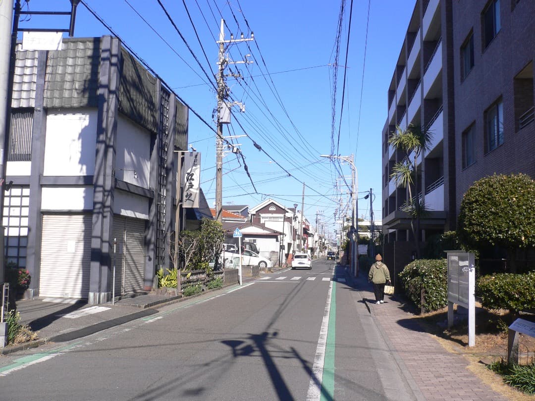 実写美⭕️【動作確認済】パナソニック LUMIX DMC-FX7 シルバー