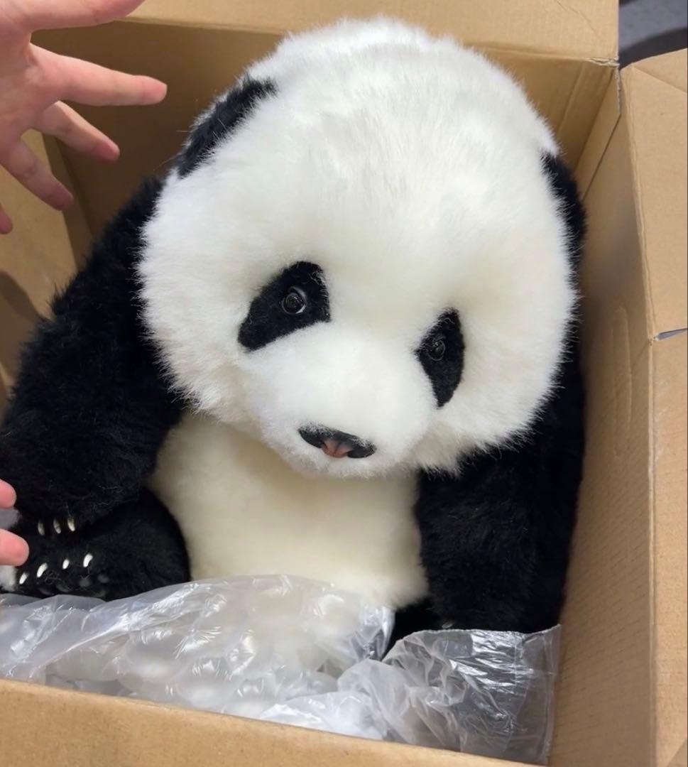 パンダぬいぐるみ　リアル可愛い