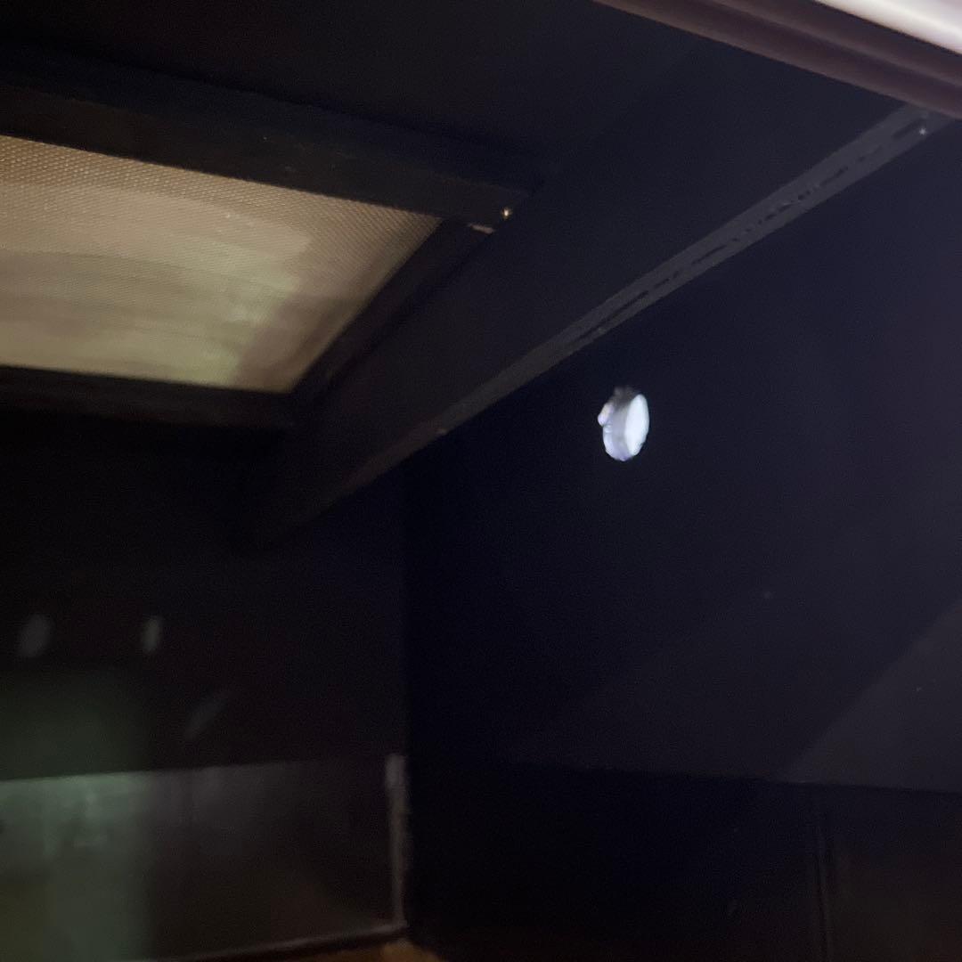 爬虫類　ケージ　木製　引き取り限定　愛知県