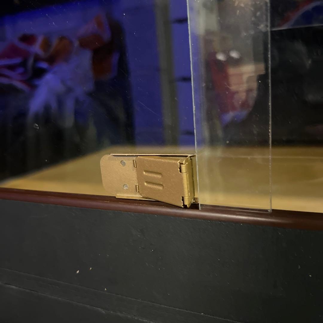 爬虫類　ケージ　木製　引き取り限定　愛知県