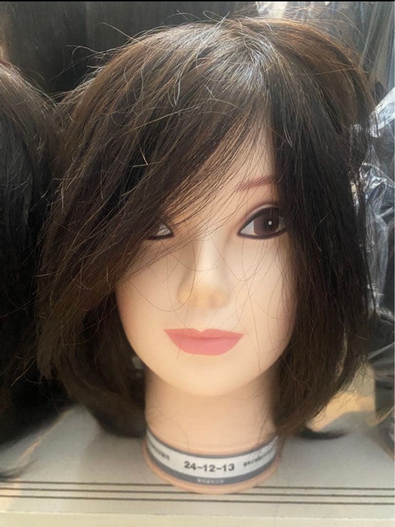 HS 国家試験練習用　カットウィッグ　3体　即購入◎