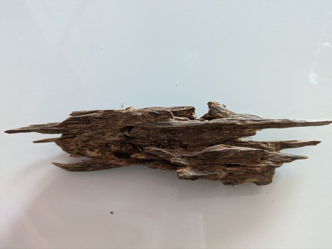 流木状 香木
