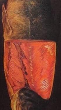 高橋 由一 、川鱒図、希少な額装用画集画、状態良好