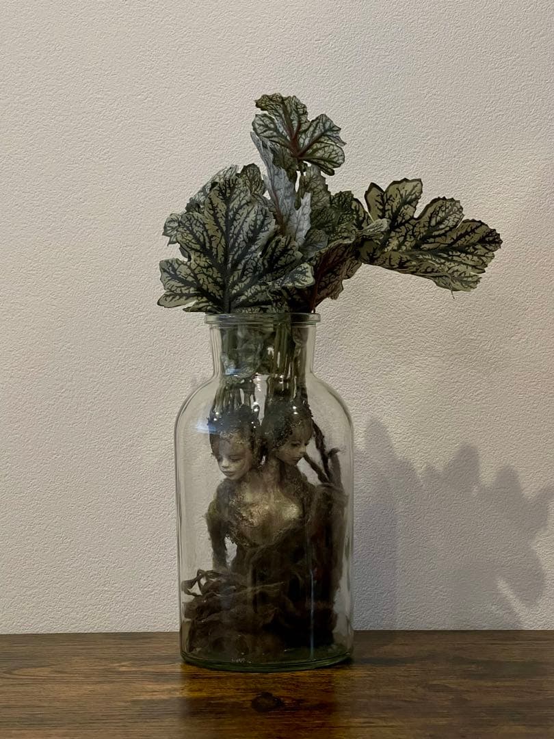 創作人形・ウーマンドレイクの標本「同じ土の記憶（Shared Soil）」