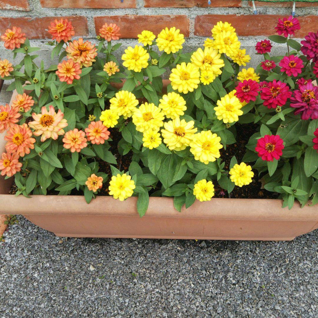 顔を洗う水✨リピーター✨