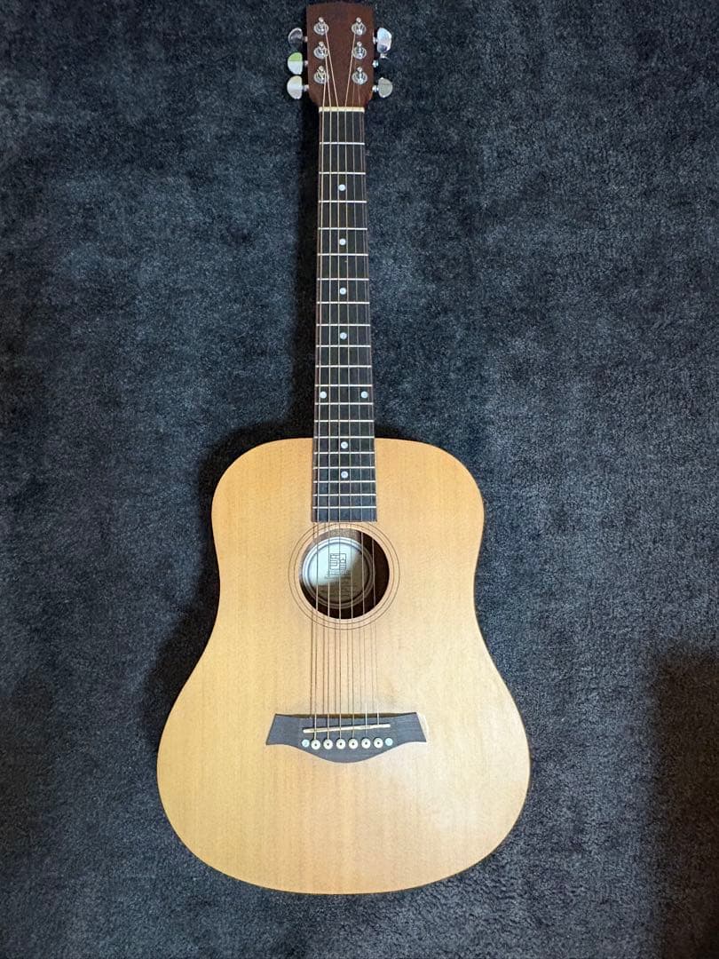 音音　DT1S NTS ミニアコースティックギター