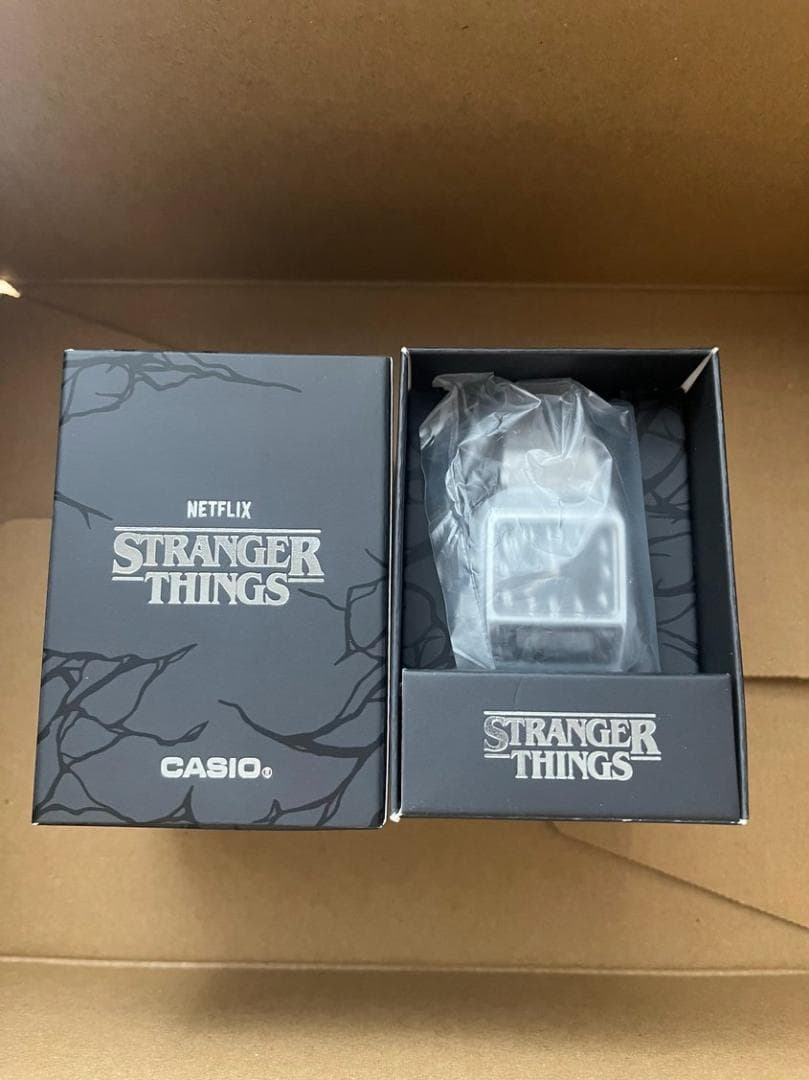 時計 CASIO stranger things AQ-800EST-1AJR
