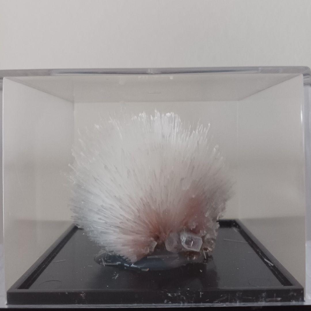 スコレス沸石(スコレサイト）魚眼石(アポフィライト)