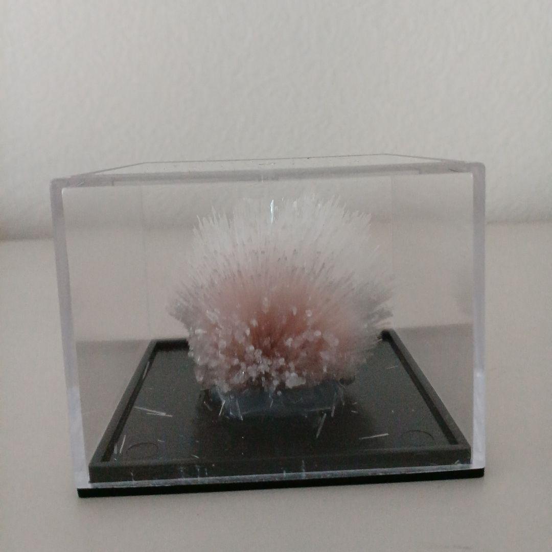 スコレス沸石(スコレサイト）魚眼石(アポフィライト)