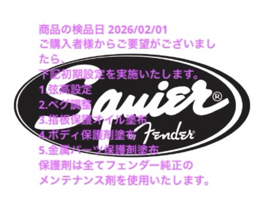 Squier by Fender D,C Stratocaster【セット】