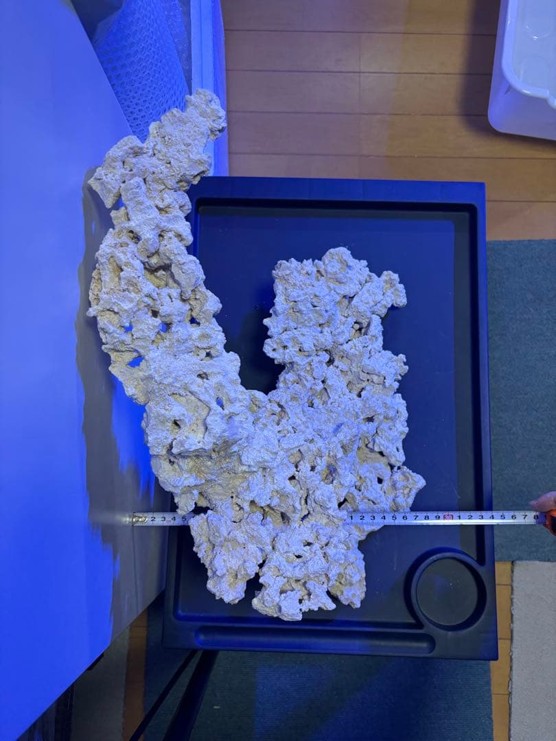 【一点物】マルコロックレイアウト品　海水・サンゴ水槽向け