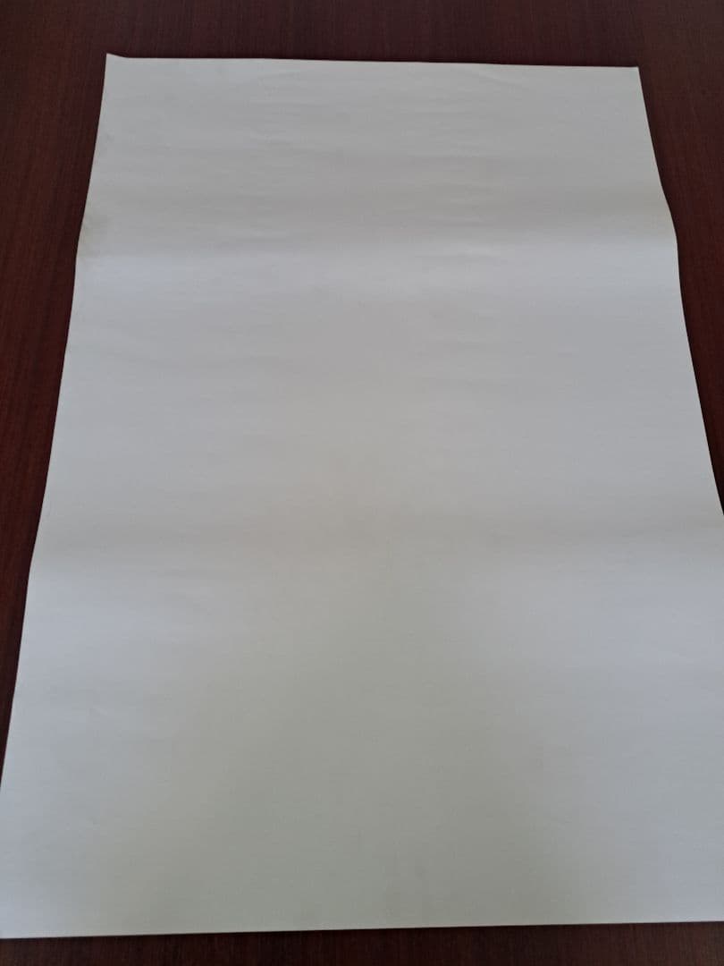 【超貴重/当時物/人気】西野カナ「Girls」★ポスター