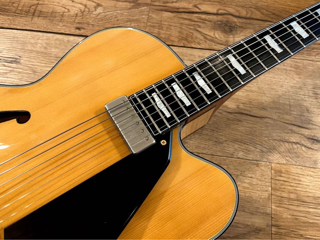 Fujigen/Masterfield MFA-FP 【フジゲン】【フルアコ】