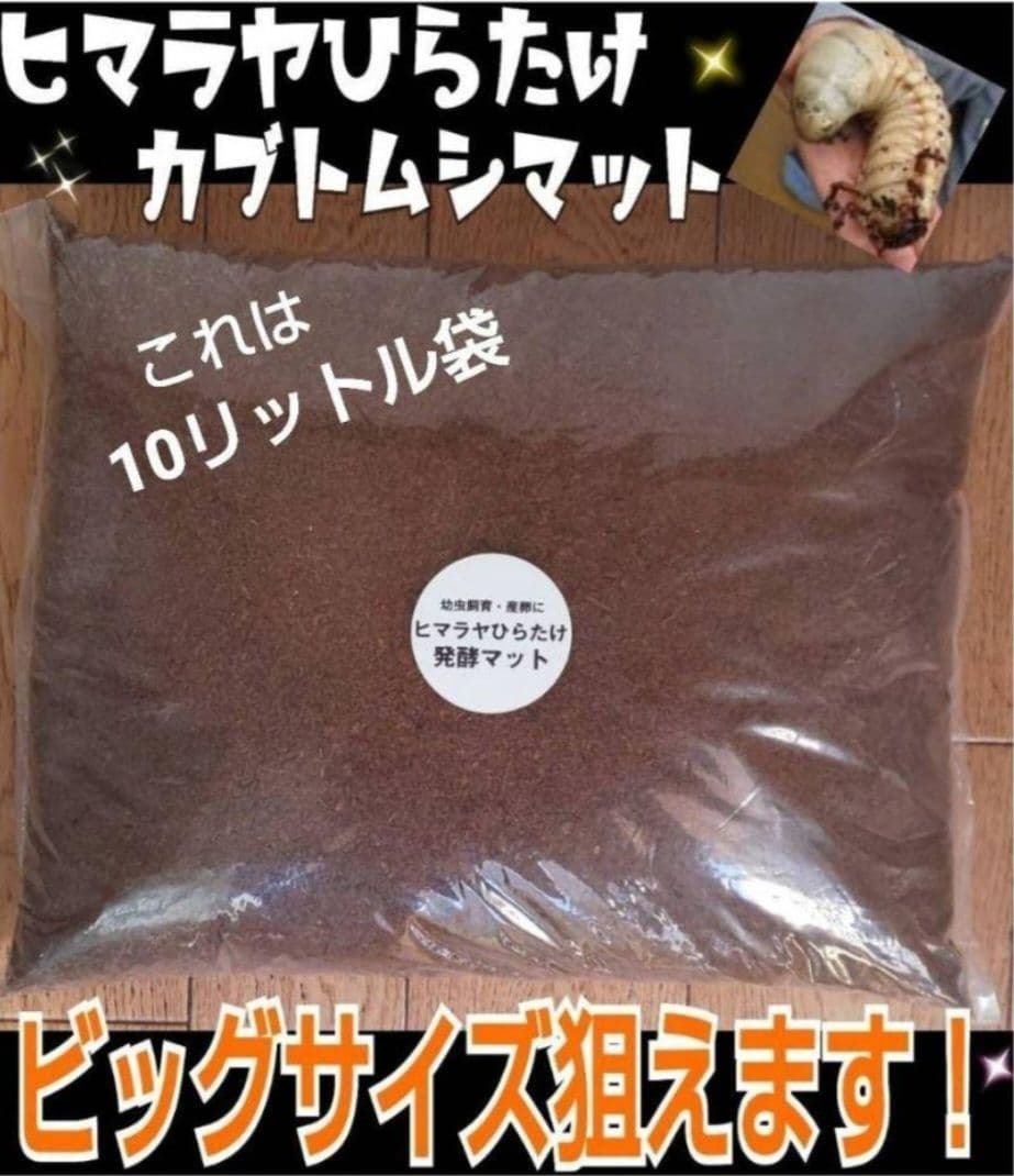 60リットル　ヒマラヤひらたけ発酵カブトムシマット　幼虫がビックサイズになります