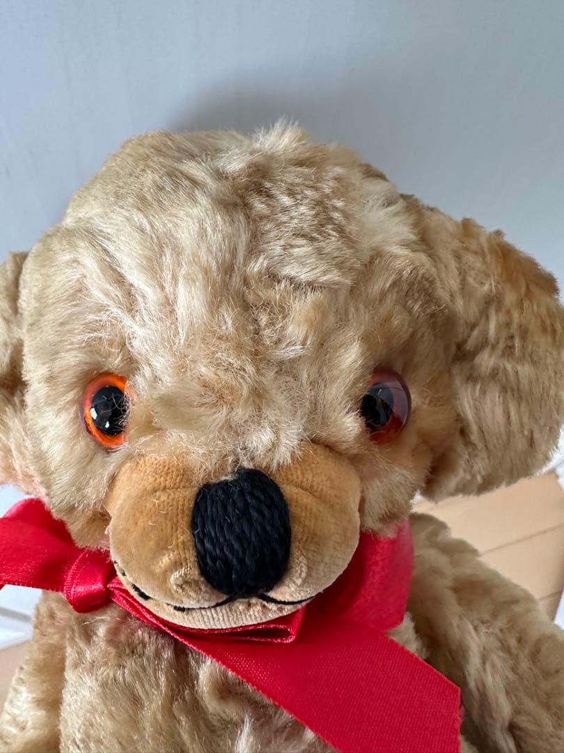 メリソート/REGDチーキー/アートシルク