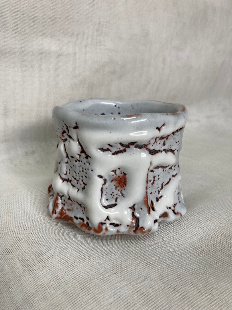 木戸貞昭／鼠志野茶碗／B37