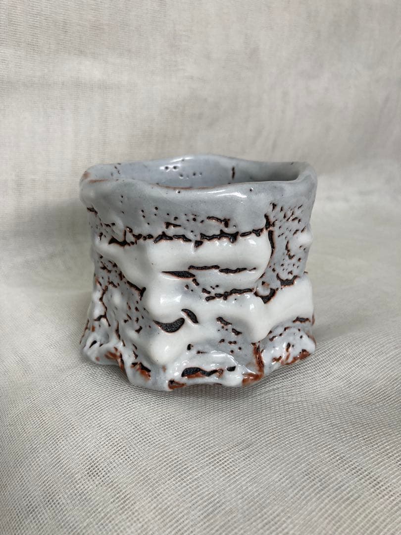 木戸貞昭／鼠志野茶碗／B37