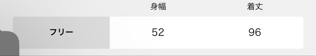 ［完売品］APSTUDIO NEWレースキャミドッキングワンピース　ブラック