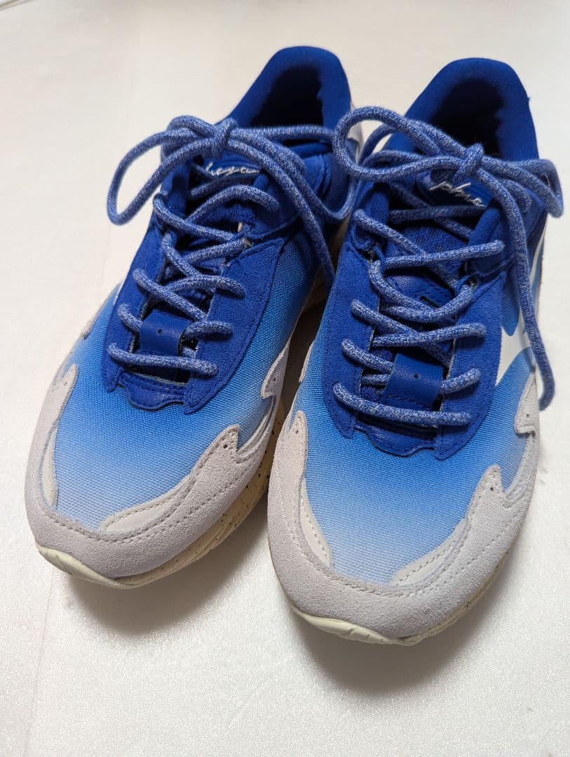 永井博×ミズノ　ウェーブライダー　ベータ