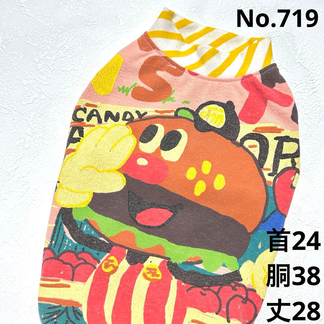 Zoeyゾーイ●犬服●ハンドメイド 胴38 NO.719