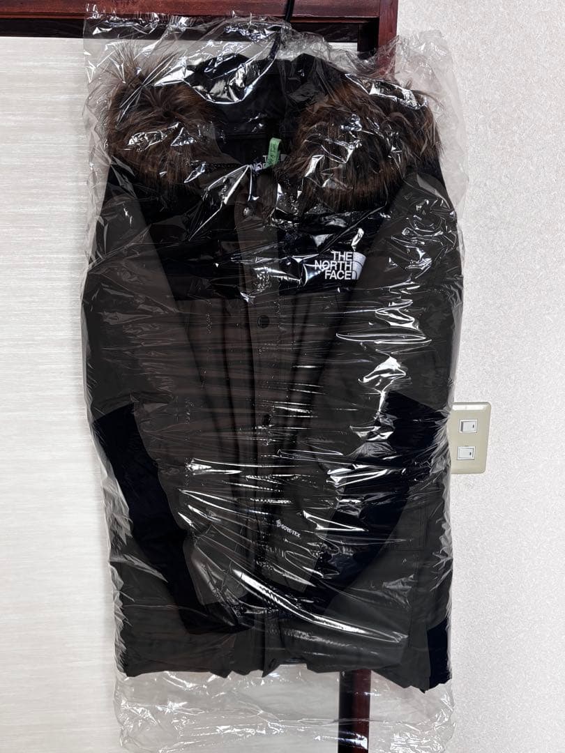 THE NORTH FACE マウンテンダウンコート Lサイズ　ニュートープ