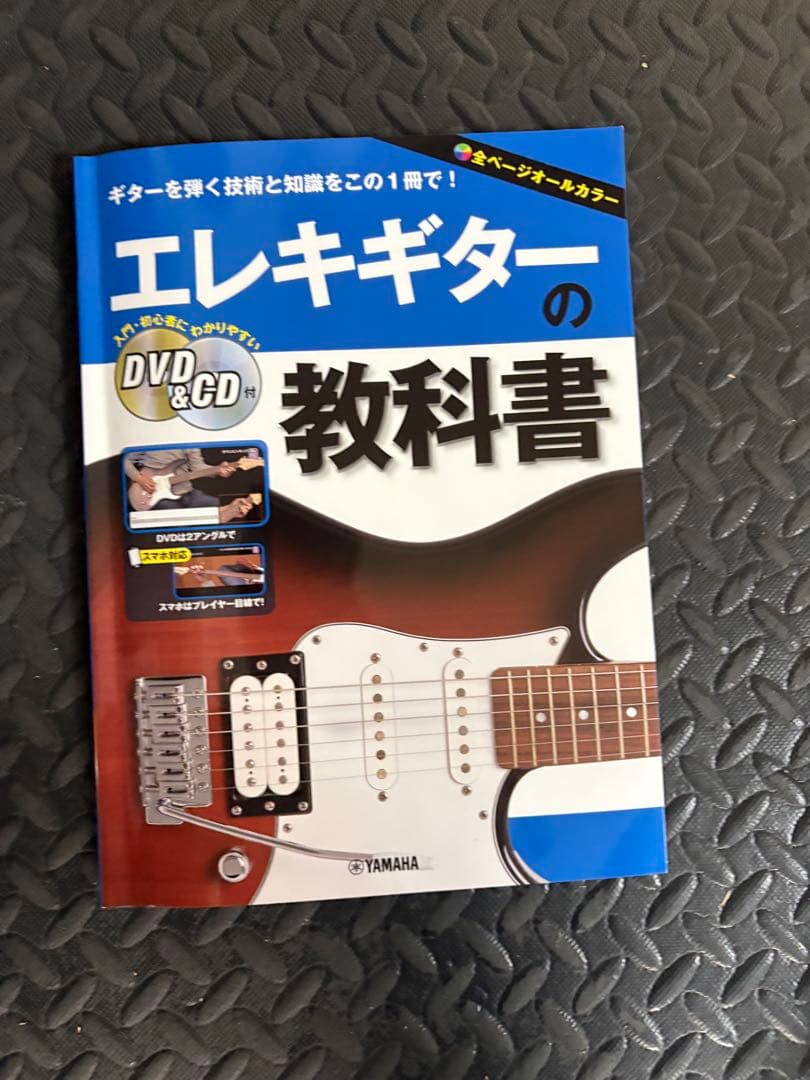 Aria pro2 viper シリーズ　vp-400