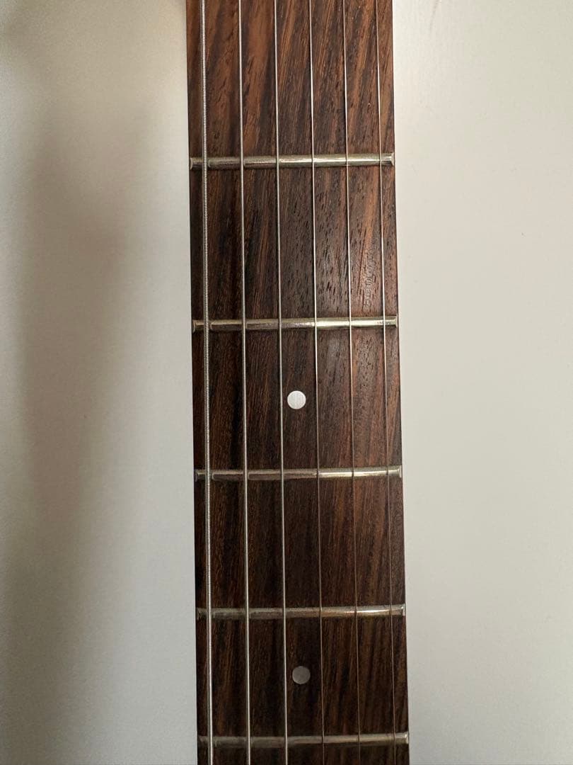 Aria pro2 viper シリーズ　vp-400