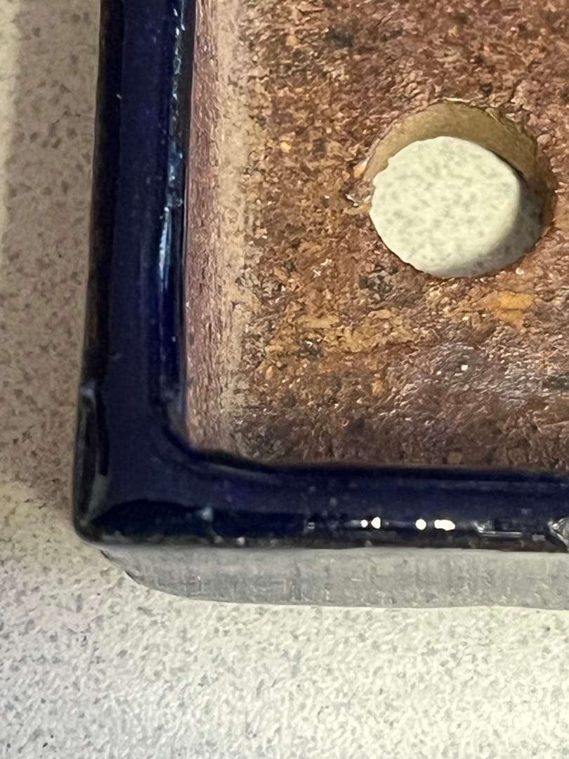 盆栽鉢　植木鉢　陶芸　盆栽