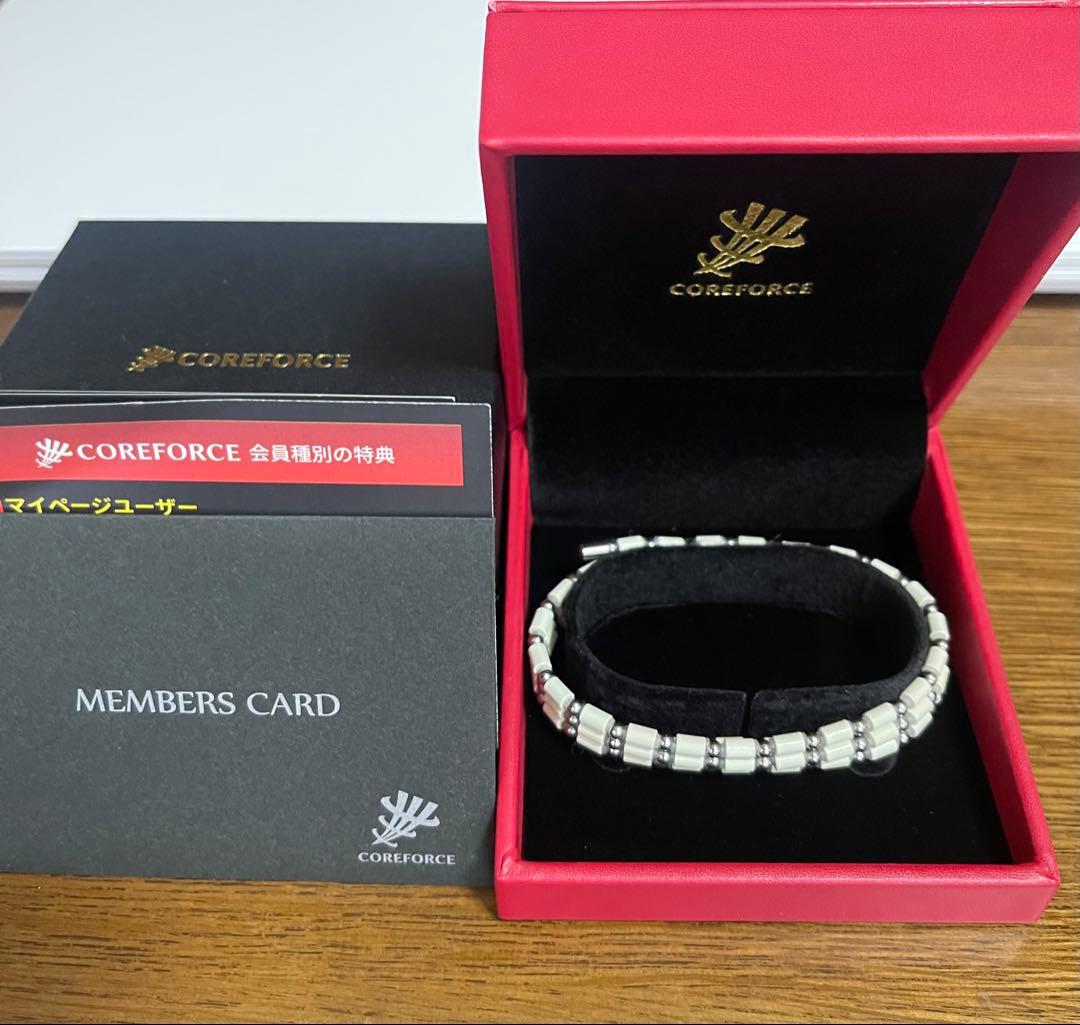 COREFORCE LOOP SUS ホワイト 70㎝