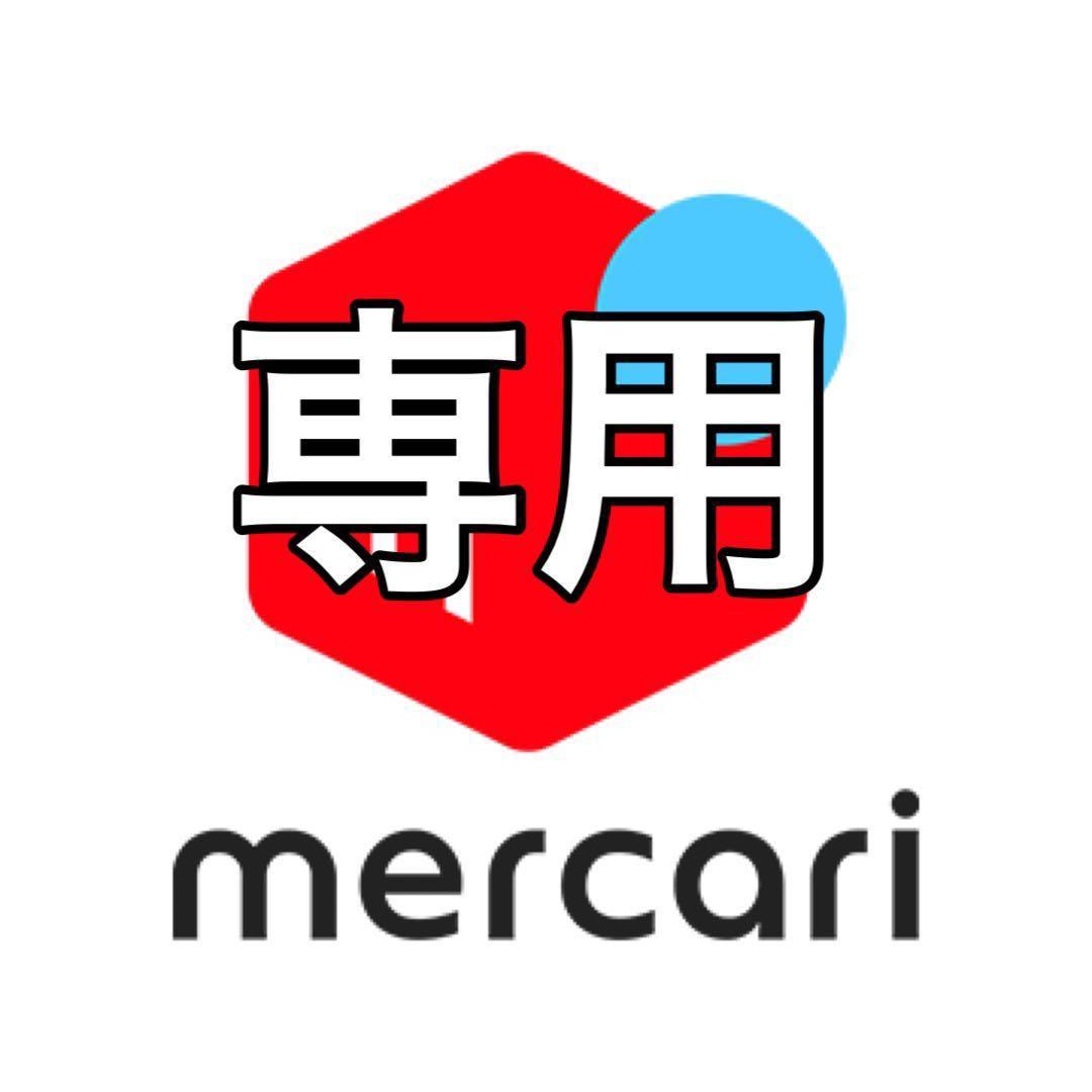 SALOMON ASSASSIN アサシン　156cm